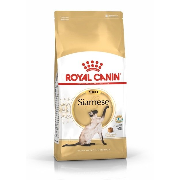 ROYAL CANIN Siamese Adult|Sphynx Adult sausas maistas katėms