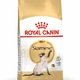 ROYAL CANIN Siamese Adult